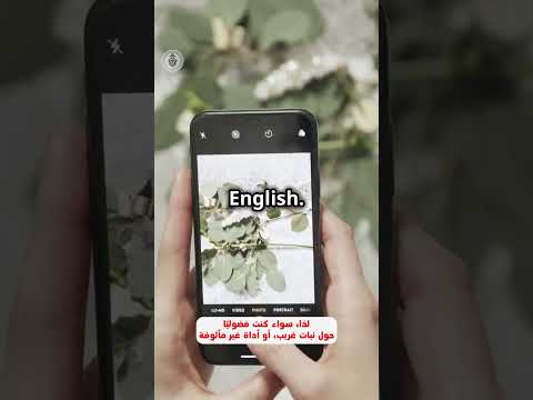 جوجل تطلق ميزة البحث بالفيديو