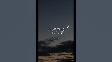 استمع للقرآن تلاوة ماهر المعيقلي #مصحف