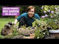 How to make a bog garden in an old tyre | Nature Break