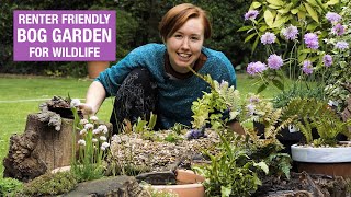 How to make a bog garden in an old tyre | Nature Break