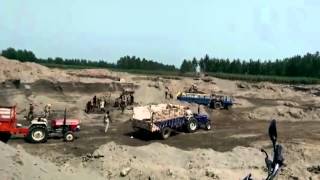 Illegal Mining On Forest Land Of Ajnala Continues: Video