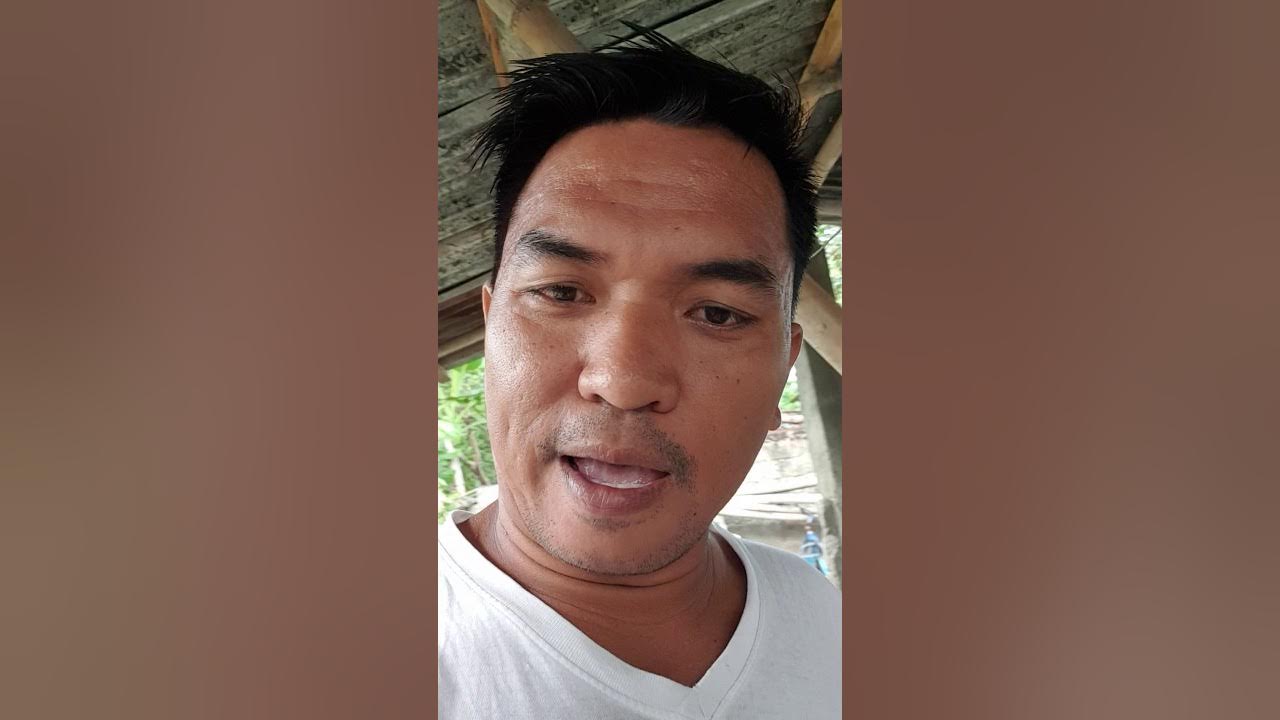 Catfish Fingerlings and Concrete Pond set up Ka Fish Pond YouTube