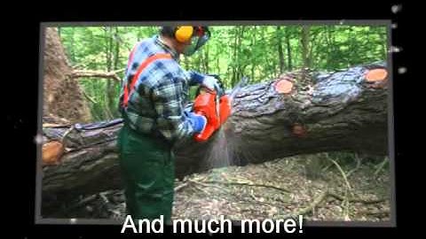 Tree Removal 78712 | (512) 731-8956