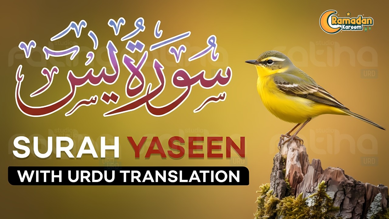 Surah Yaseen (Yasin) with Urdu Translation | Quran Tilawat Beautiful Voice | Hindi Translation | 010