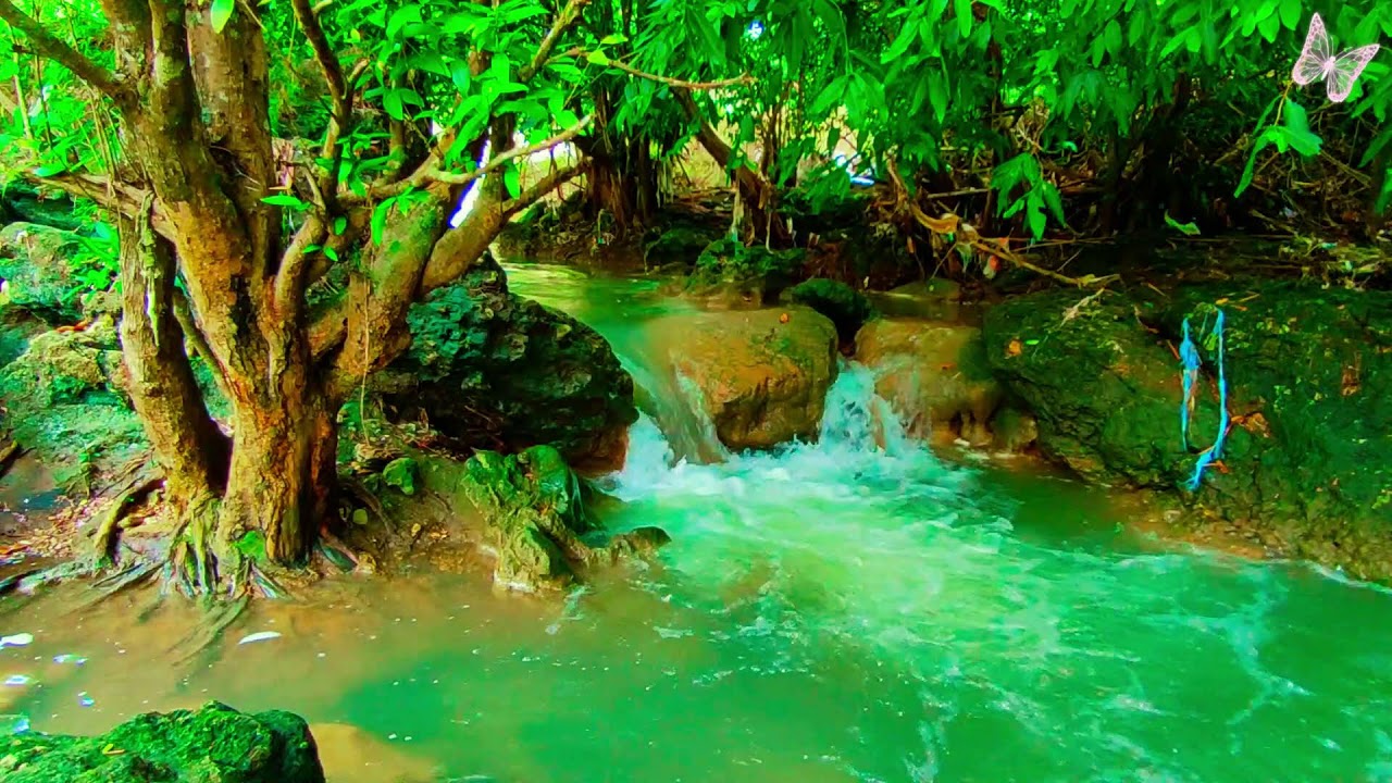 Relaxing Music For Stress Relief, Anxiety and Depressive States🌲Heal Mind, Body and Soul 60