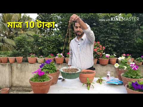 Video: Hanging Herb Baskets: Yuav Ua Li Cas Tso Tshuaj Ntsuab Hauv Lub Pob