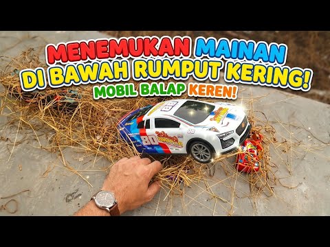 Finding Toys Under Dry Grass | Cool Race Cars - Planes - Buses - Monster Trucks 🔍