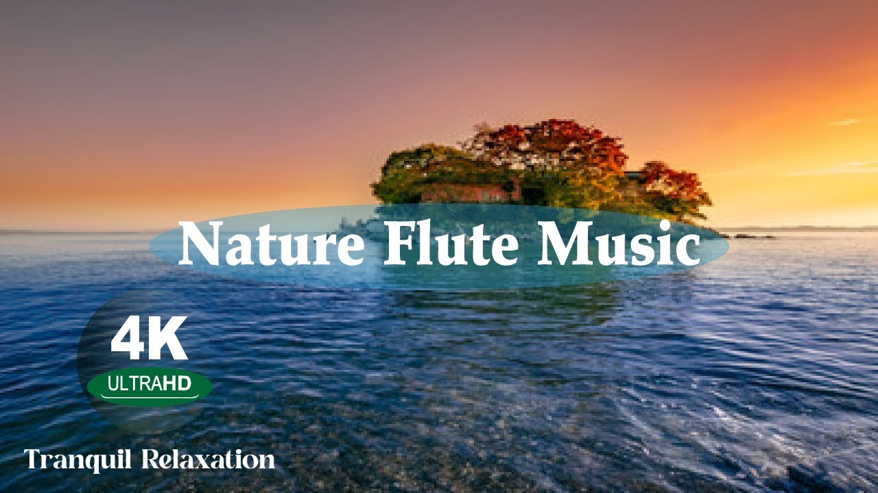 Flute Music For Studying, Work Music, Music For Deep Focus Nature