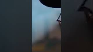 Bunny Wailer  Hypocrite    shorts reggae rasta