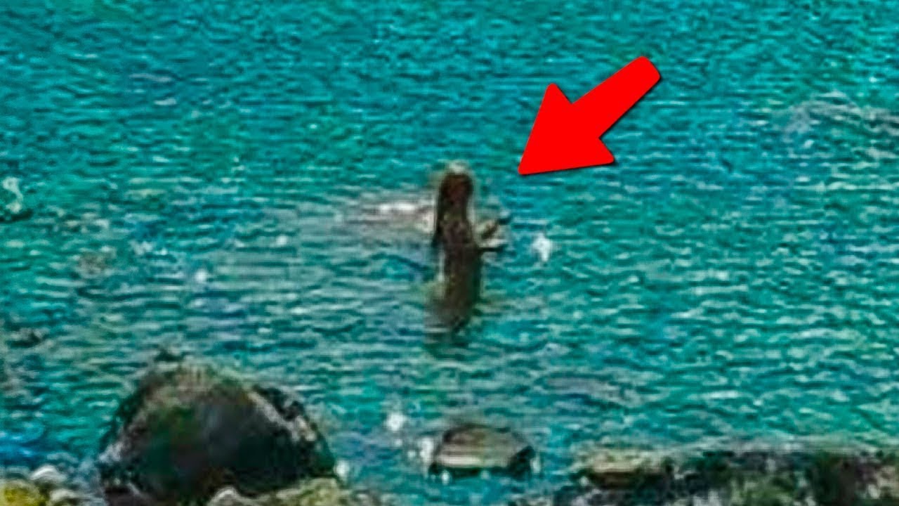 That Was Really Filmed On Camera