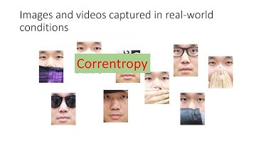 New Robust Metric Learning Model Using Maximum Correntropy Criterion