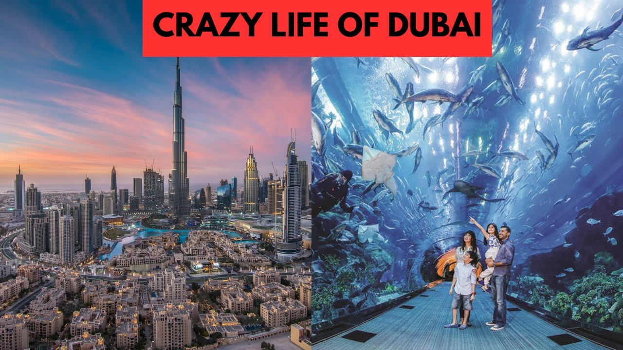crazy-things-that-can-t-be-seen-anywhere-else-but-in-dubai-crazy-life