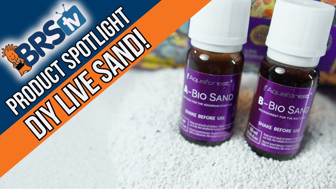 MAKE Your Reef Tank's Live Sand Yourself! Aquaforest AF Bio Sand