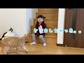 猫大集合😻ひなたのおやつ屋さん♩【暮らしVlog】