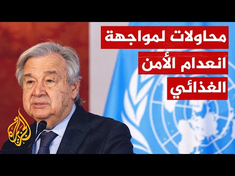 الأمم المتحدة تبحث عن حل لمشكلة انعدام الأمن الغذائي
