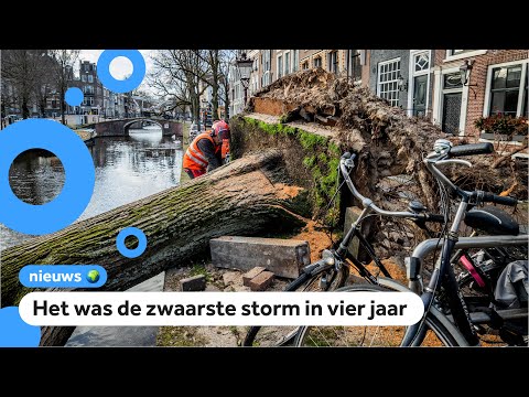 Video: Wat zijn de schades veroorzaakt door storm?