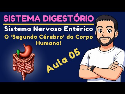 Enteric Nervous System: The Human Body’s ‘Second Brain’! #enem #biology #humananatomy
