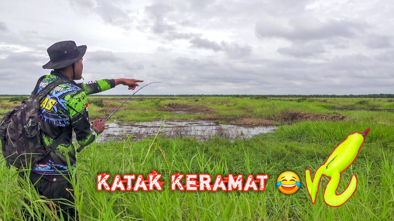 SANGAT BERUNTUNG !!! DITENGAH PADANG RUMPUT YANG LUAS ADA RAWA G4CORRR