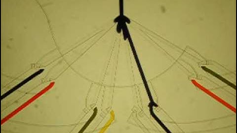 Microfluidic perfusion with microvalves (valve area) [Folch lab]