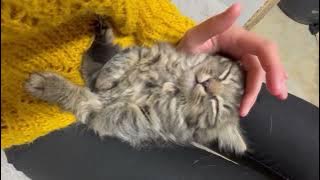 436644141 25519813907665588 6775372294142082344 n