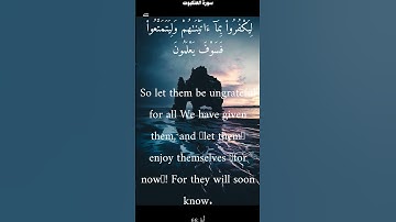 سورة العنكبوت من الأية 64 الى 67 ناصر القطامي