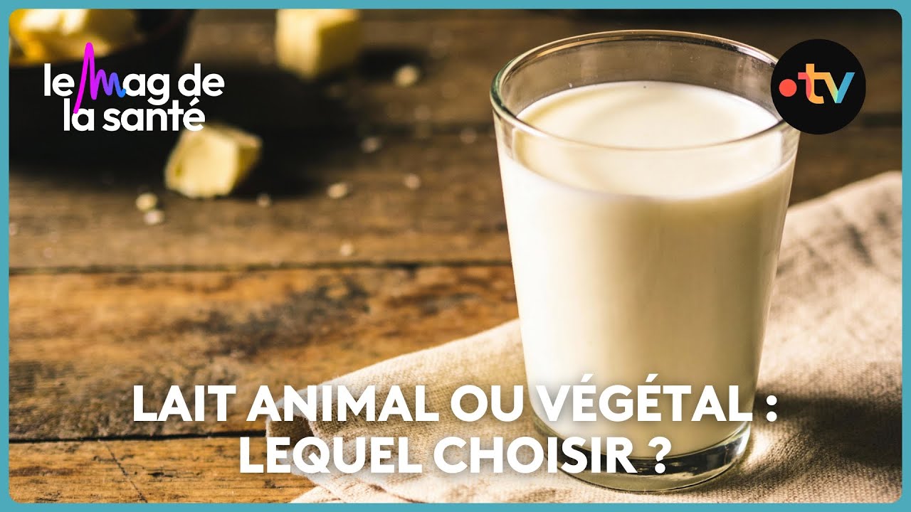 Le lait végétal est-il néfaste pour la santé ?