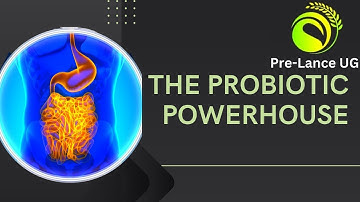 How can Pediococcus Pentosaceus boosts your gut?