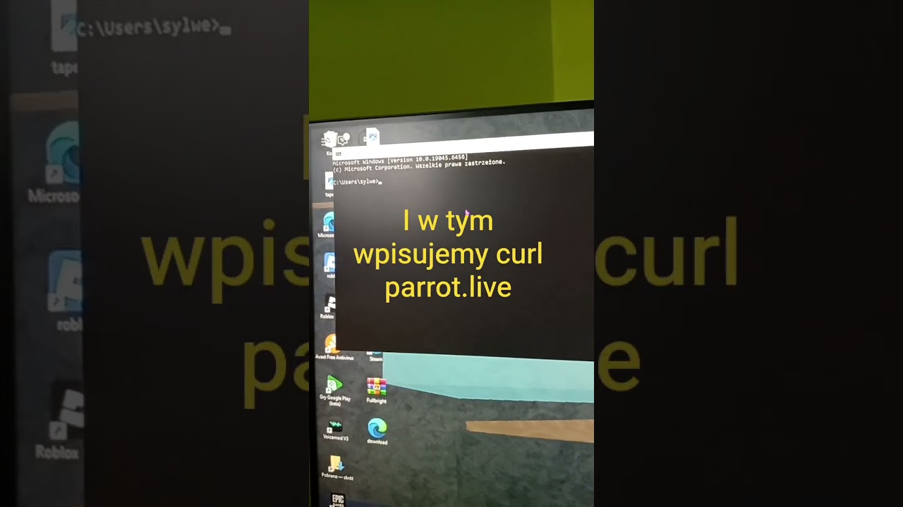 poradnik na papugę w cmd 