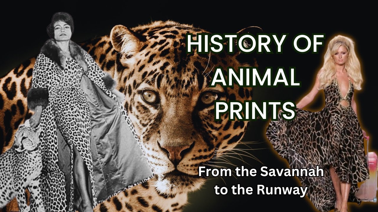 The Wild History and Obsession of Animal Prints in Fashion | From 1950 to 2025