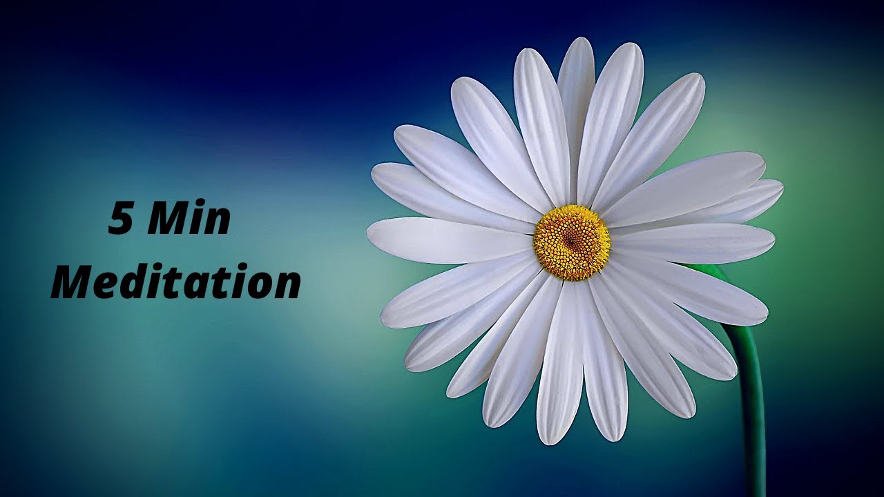 5 Min Meditation Music - YouTube Music