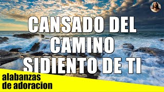 CANSADO DEL CAMINO - Mezcla De Alabanzas De Adoración Mix - Musica Cristiana Sumergeme y Mas.. by alabanzas de adoracion 1,202 views 10 days ago 1 hour, 40 minutes