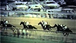 Secretariat's Triple Crown Run