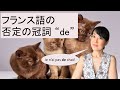 フランス語の否定の冠詞 de: Je n'ai pas de chat !
