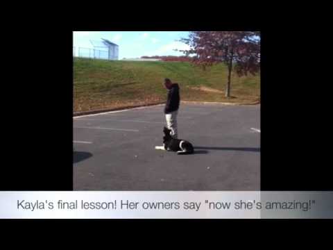 Kayla's Final Lesson! Must see! Dog Training, Virg...