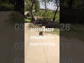 army dog center #03004832717