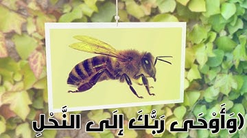 سورة النحل آية رقم 68-69