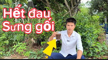 Bài thuốc trị đau khớp gối hay tuyệt vời từ rau trai và đậu đen