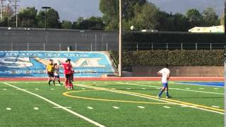 IMG 6246