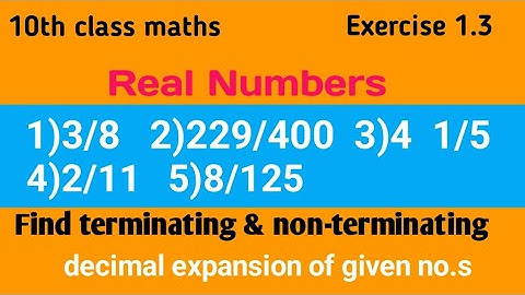 Real Numbers Exercise 1.3//1st problem//10th class maths//SP Math Solutions