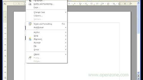 openzone.com tutorial - OpenOffice - Superscript  and subscript