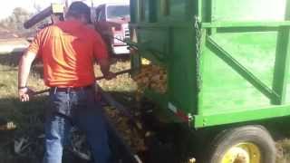 Shelling corn with the MD