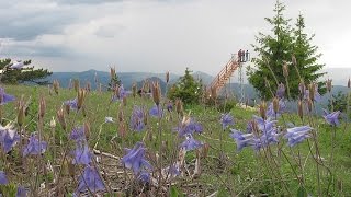 Богатствата на Западни Родопи! The Treasures of Western Rhodopes!