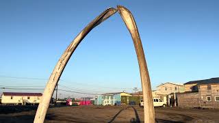Where the Sun Never Sets: The Arctic Ocean’s Midnight Sun