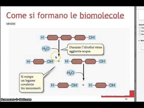 Video: Previsione Di Nuove Associazioni Tra NcRNA E Malattie Che Sfruttano Il Clustering Gerarchico Multi-tipo