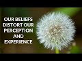 Our Beliefs Distort Our Perception and Experience