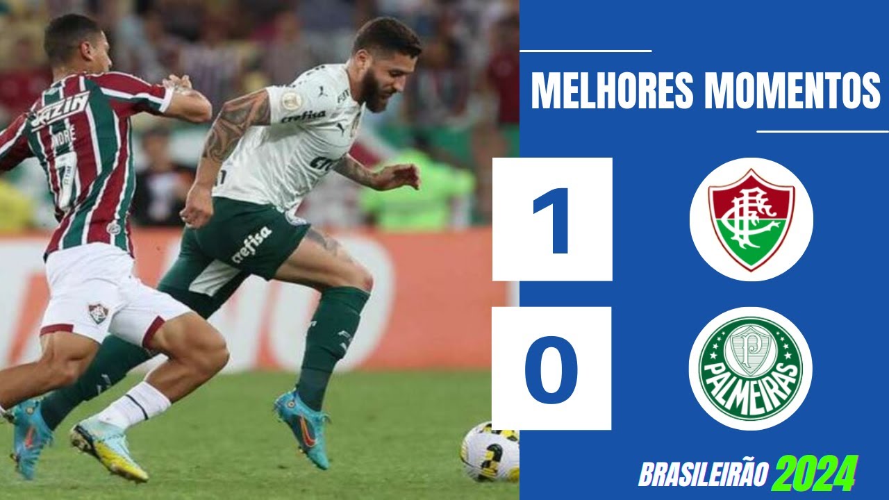 FLUMINENSE 1 X 0 PALMEIRAS | GOLS E MELHORES MOMENTOS | 19ª RODADA ...