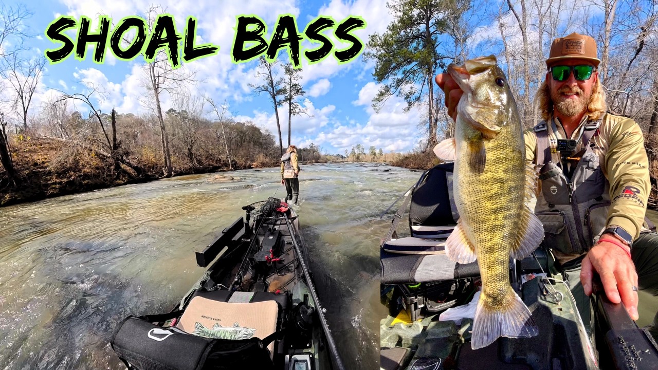 Fishing For BIG Pre Spawn Shoal Bass