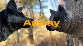 Astray | A Schleich Series | Episode 1. “The Stray” | coywolfschleich