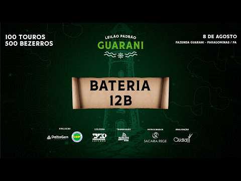 BATERIA 12B