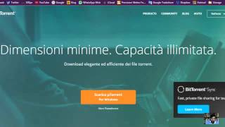 Come scaricare con TORRENT